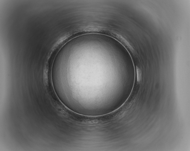 X0000113130675200909110914