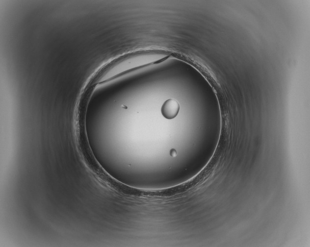 X0000113130676200909110914