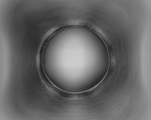 X0000113130678200909110914