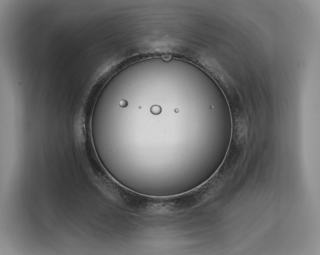 X0000113130680200909110914