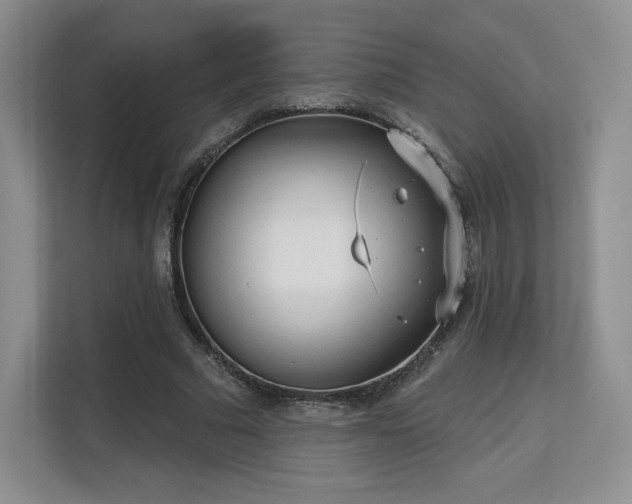 X0000113130681200909110914