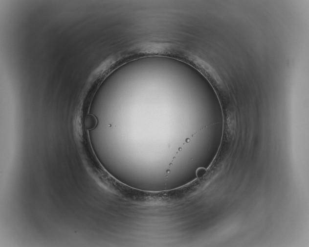 X0000113130682200909110914