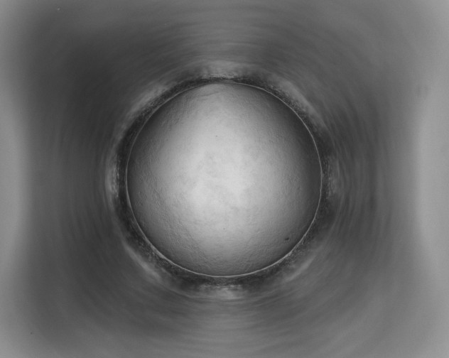 X0000113130683200909110914