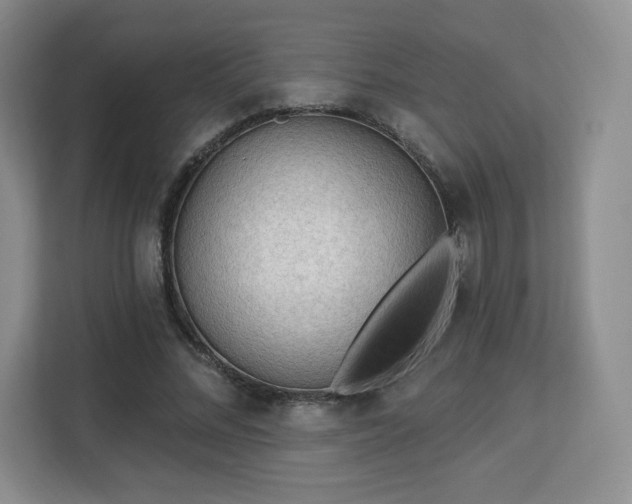 X0000113130684200909110914