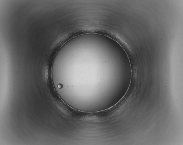 X0000113130685200909110914