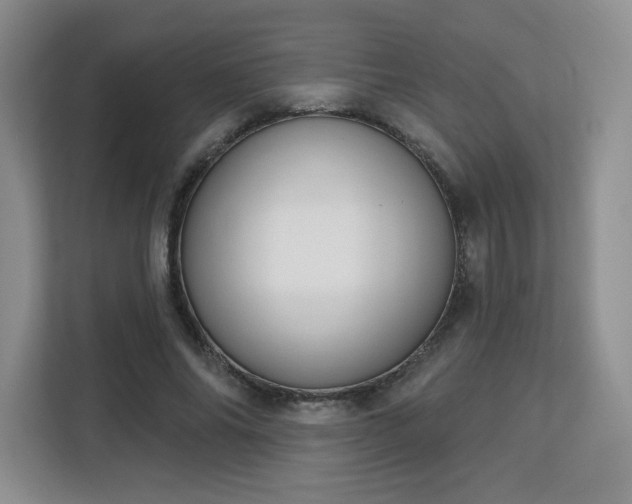 X0000113130686200909110914