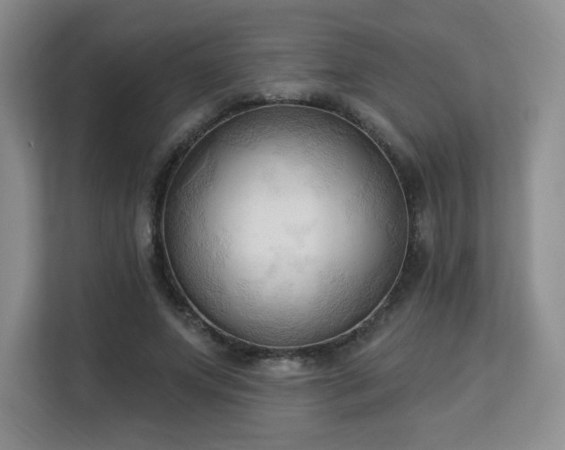 X0000113130687200909110914