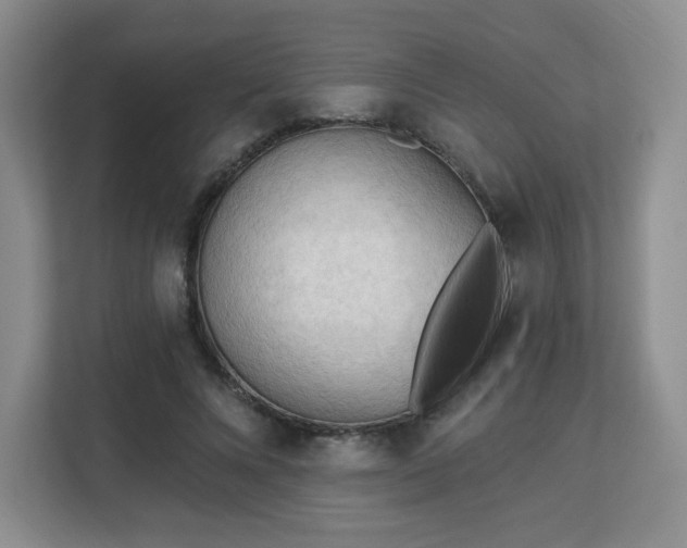 X0000113130688200909110914