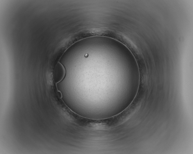 X0000113130689200909110914