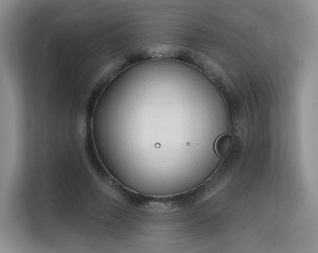 X0000113130690200909110914