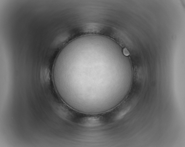 X0000113130692200909110914