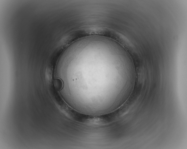 X0000113130695200909110914