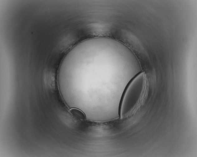 X0000113130696200909110914