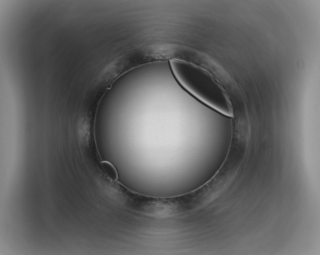 X0000113130697200909110914