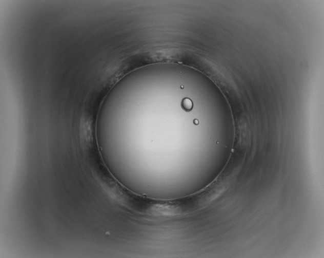 X0000113130699200909110914