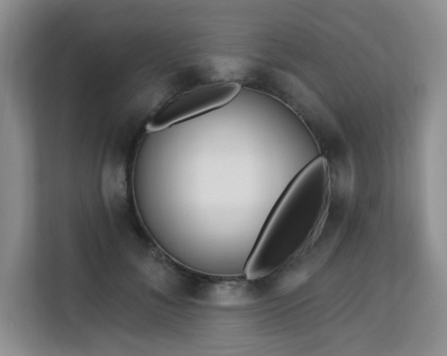 X0000113130700200909110914