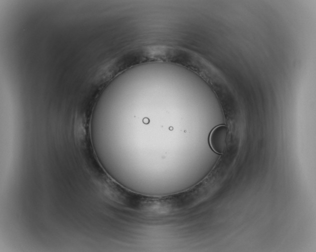 X0000113130702200909110914