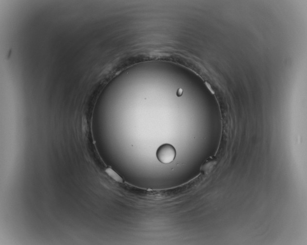 X0000113130704200909110914