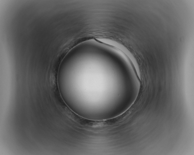 X0000113130705200909110914