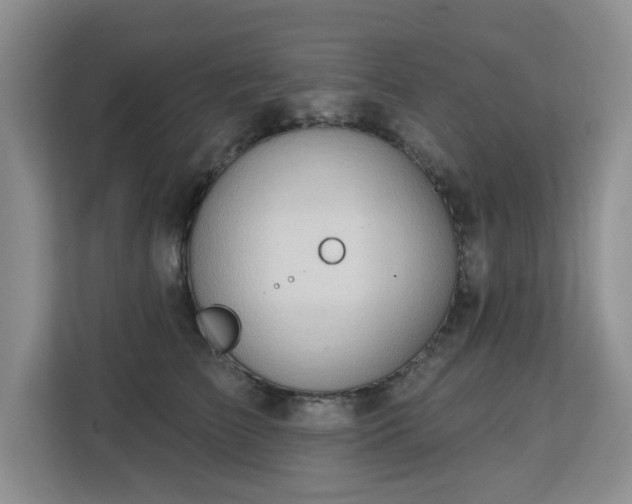 X0000113130709200909110914