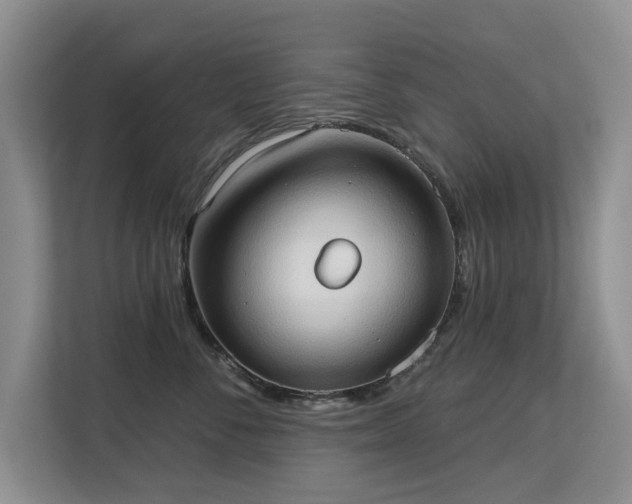 X0000113130716200909110914