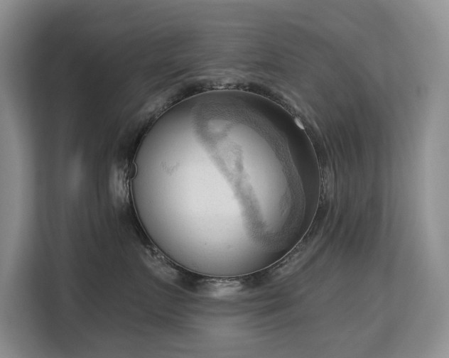 X0000113130719200909110914