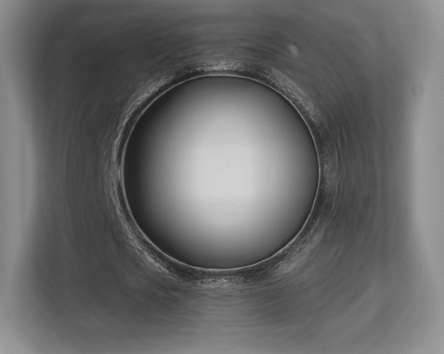 X0000113130721200909110913