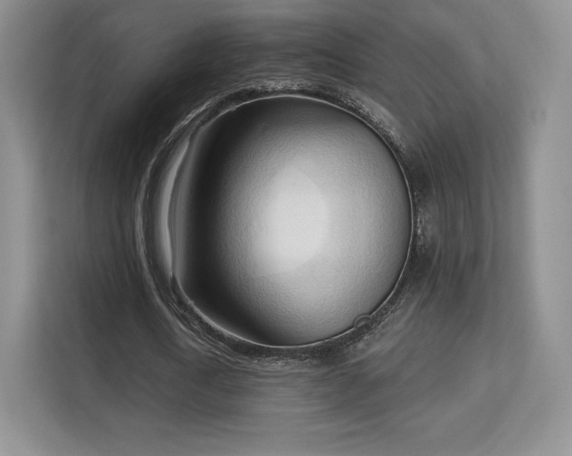 X0000113130722200909110913