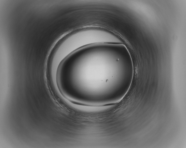 X0000113130724200909110913