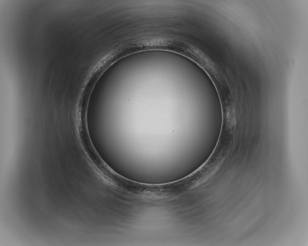 X0000113130725200909110913