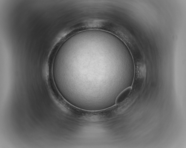 X0000113130726200909110913