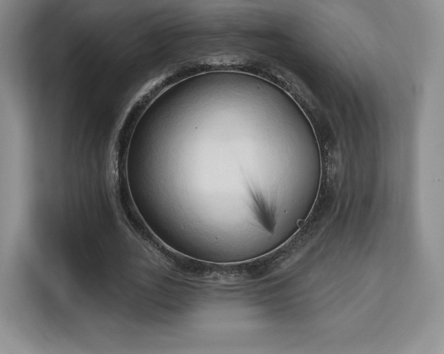 X0000113130727200909110913