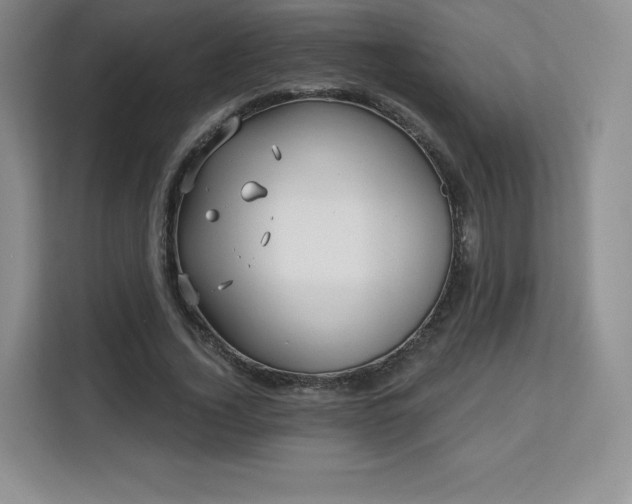 X0000113130732200909110913