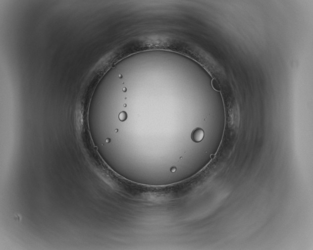 X0000113130733200909110913