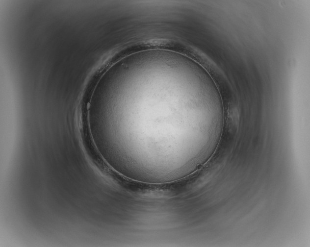 X0000113130734200909110913