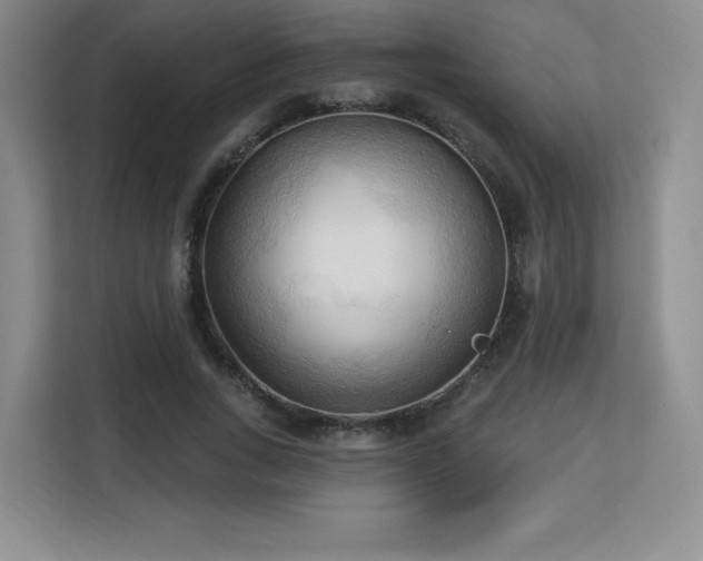 X0000113130735200909110913