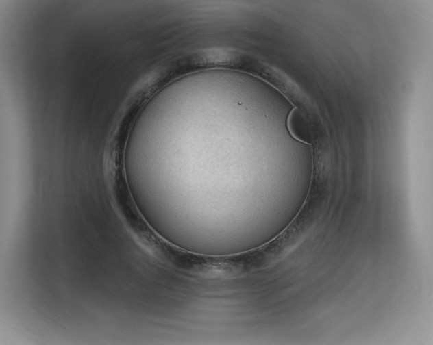 X0000113130736200909110913