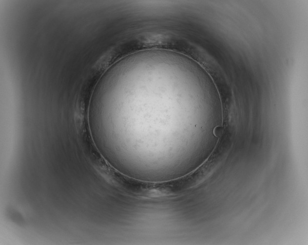 X0000113130737200909110913