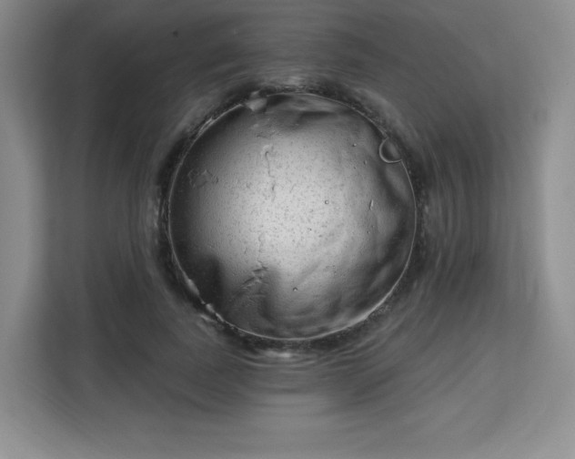 X0000113130739200909110913