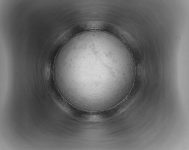 X0000113130741200909110913