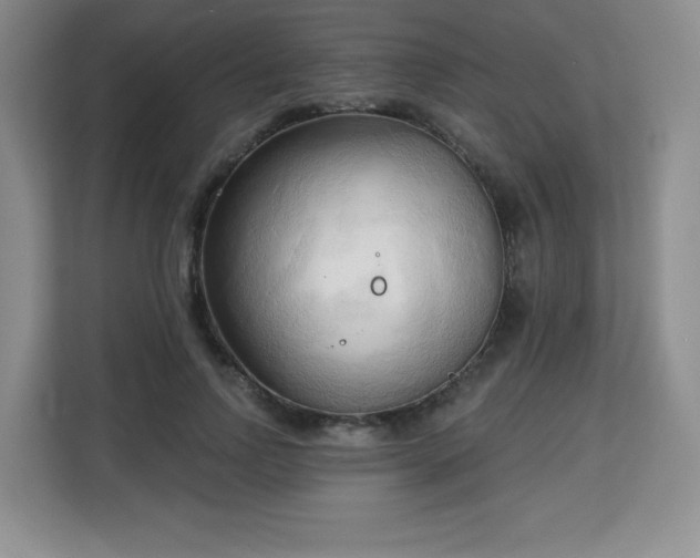 X0000113130742200909110913