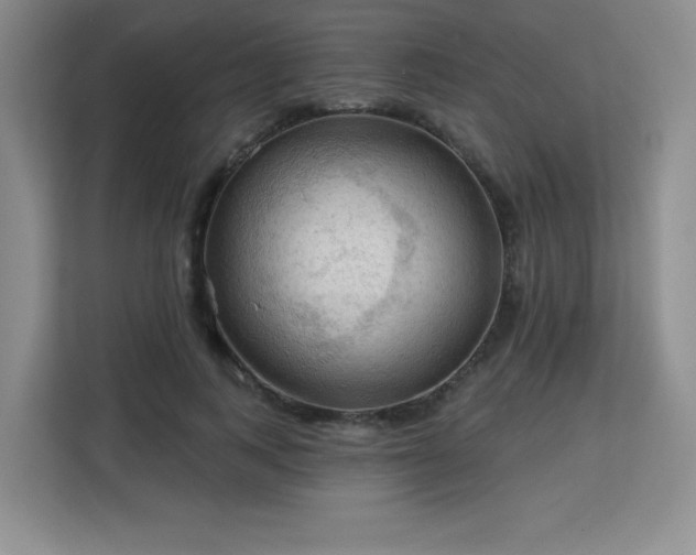 X0000113130743200909110913