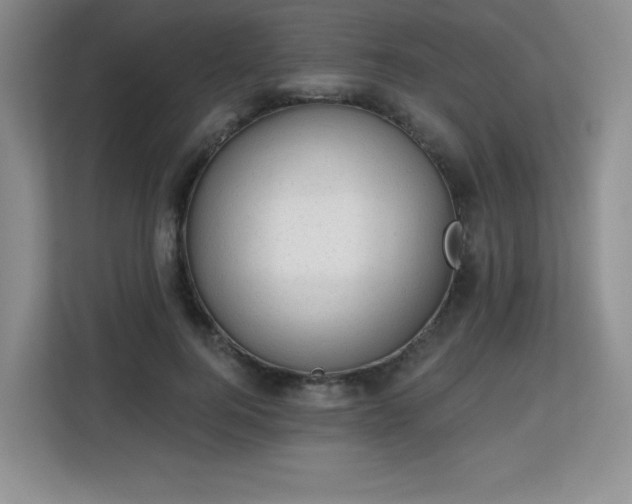 X0000113130744200909110913