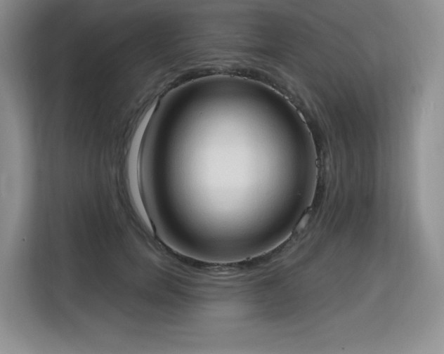 X0000113130750200909110914