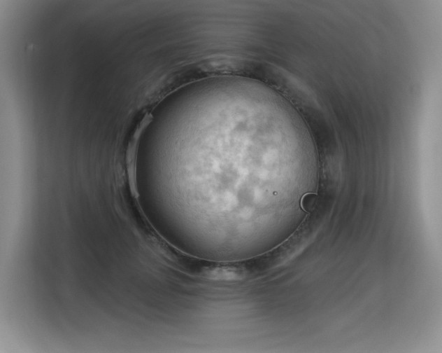 X0000113130751200909110914