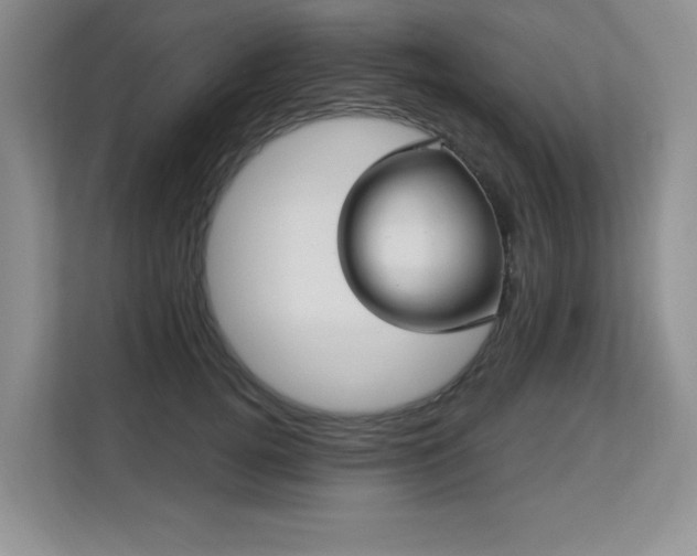 X0000113130752200909110914