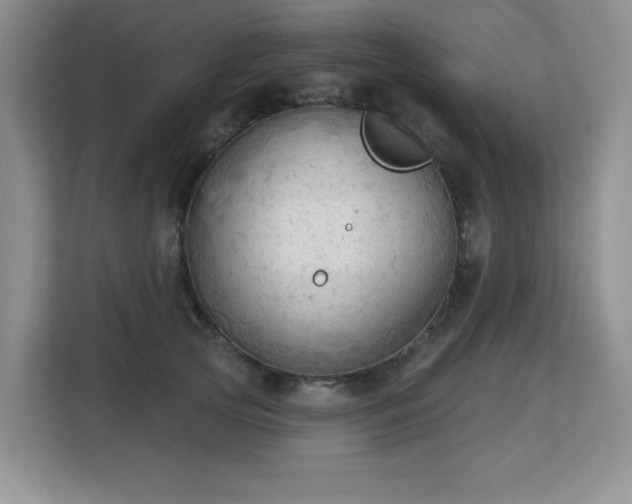 X0000113130753200909110914