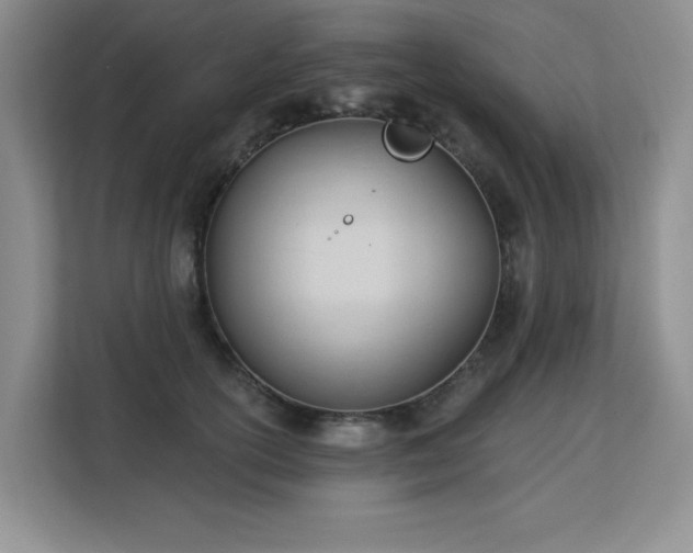 X0000113130754200909110914