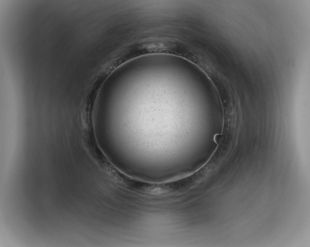 X0000113130755200909110914