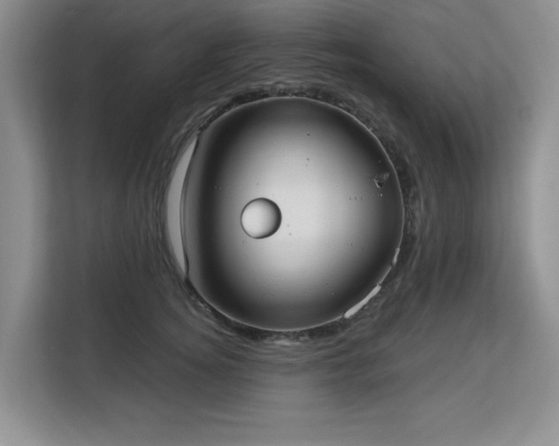 X0000113130756200909110914